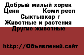 Добрый милый хорек › Цена ­ 3 000 - Коми респ., Сыктывкар г. Животные и растения » Другие животные   